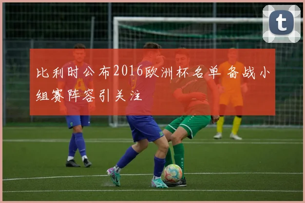 比利时公布2016欧洲杯名单 备战小组赛阵容引关注