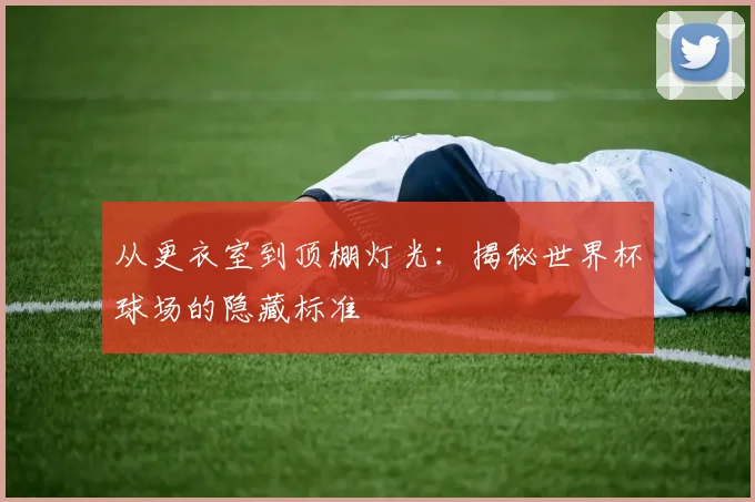 从更衣室到顶棚灯光：揭秘世界杯球场的隐藏标准